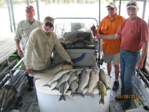 Nice Striped Bass